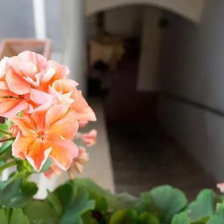 Corte Catalana Marigliano