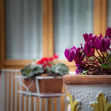 Corte Catalana Bed and Breakfast Marigliano