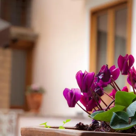 Bed & Breakfast Corte Catalana 4*