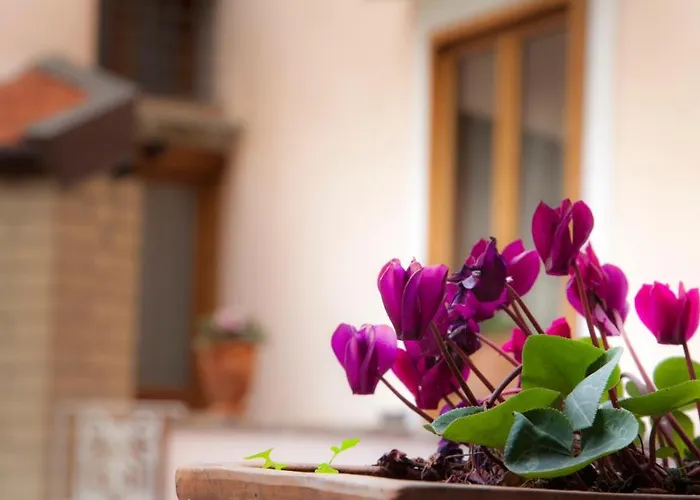 Bed & Breakfast Corte Catalana 4*
